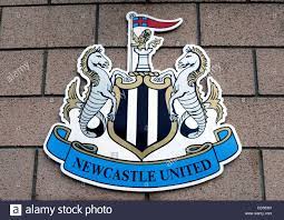 Pemain Potensial bagi Newcastle