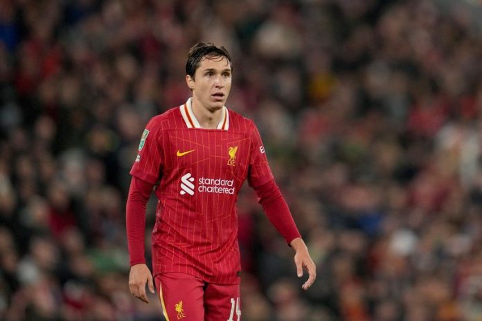 federico chiesa timnas italia