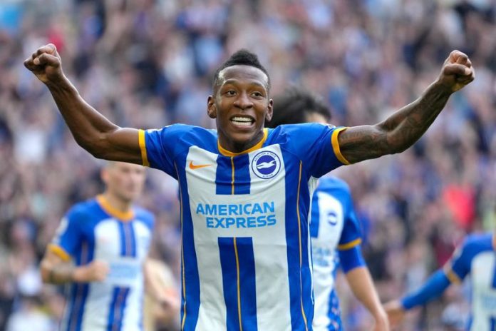 bek kiri brighton manchester