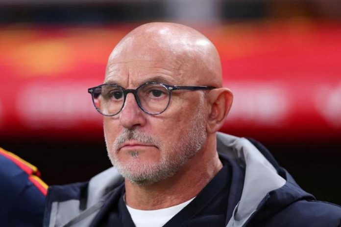 Luis de la Fuente Apresiasi Peran Pemain Pengganti dalam Kemenangan Spanyol
